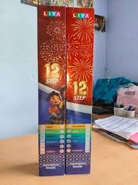 4" 12 step