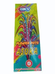 Flower Pots Ashoka (10Pcs)